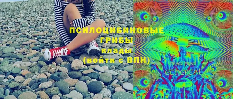 Галлюциногенные грибы Cubensis  Новопавловск 